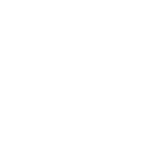 Rocketdog